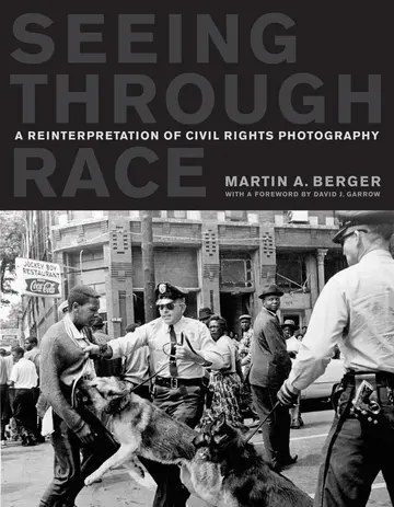 Cover of Seeing Through Race
