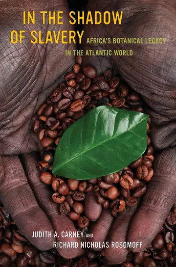 Cover of In the Shadow of Slavery