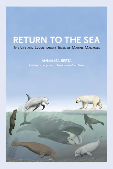 Cover of Return to the Sea