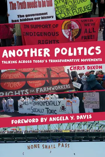 Cover of Another Politics
