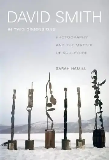 Cover of David Smith in Two Dimensions