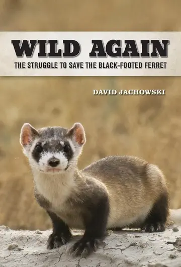 Cover of Wild Again