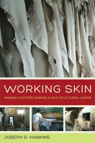 Cover of Working Skin