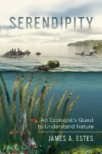 Cover of Serendipity