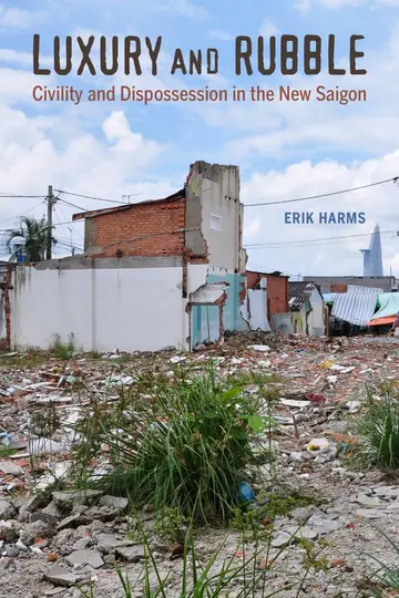 Cover of Luxury and Rubble