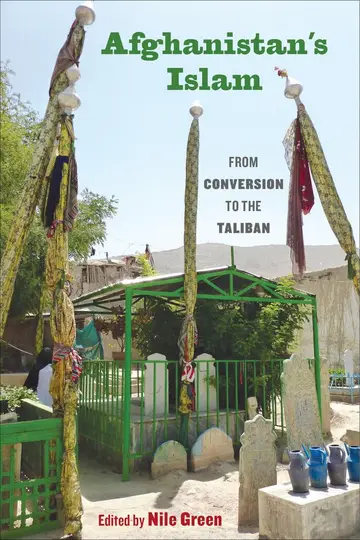 Cover of Afghanistan's Islam