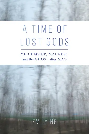 Cover of A Time of Lost Gods