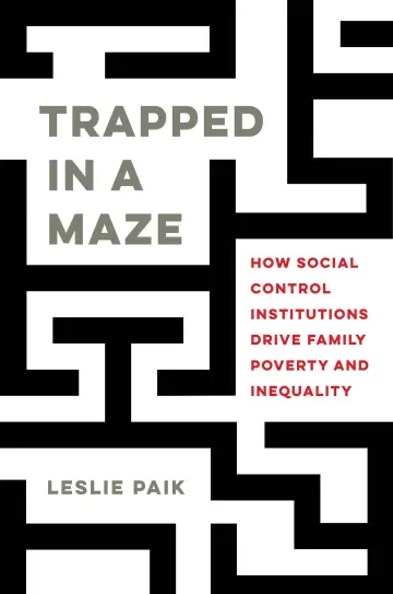 Cover of Trapped in a Maze