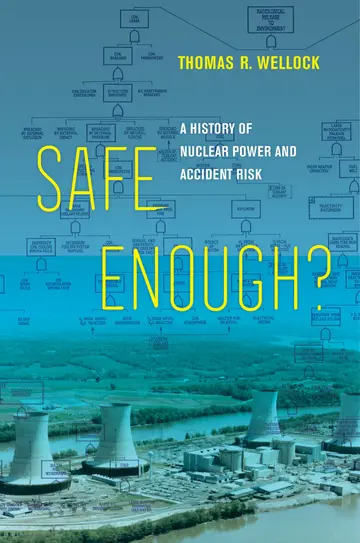 Cover of Safe Enough?