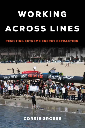 Cover of Working across Lines