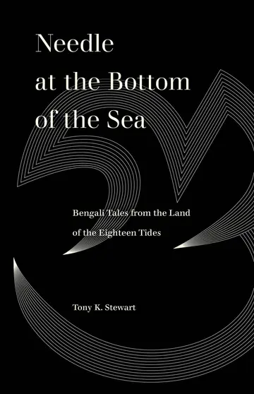 Cover of Needle at the Bottom of the Sea