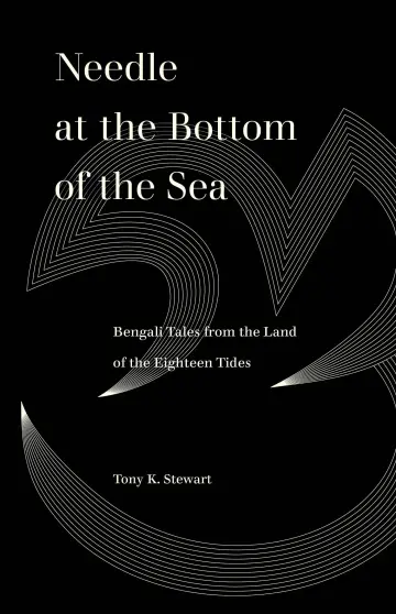 Cover of Needle at the Bottom of the Sea