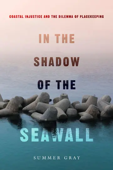 Cover of In the Shadow of the Seawall