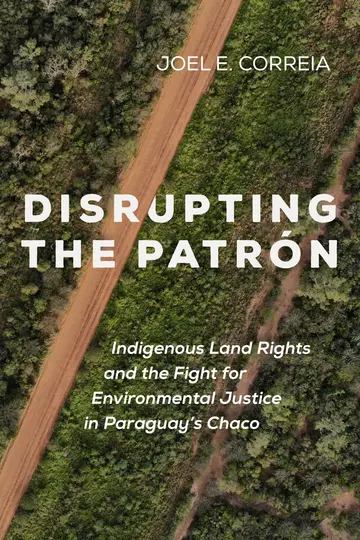 Cover of Disrupting the Patrón