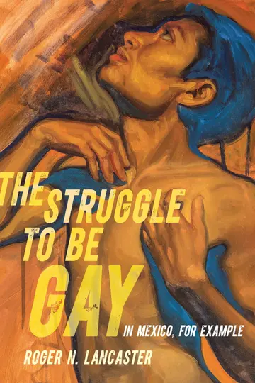 Cover of The Struggle to Be Gay―in Mexico, for Example