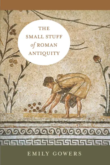 Cover of The Small Stuff of Roman Antiquity
