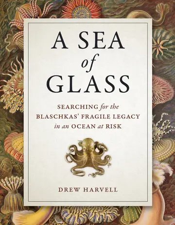 Cover of A Sea of Glass