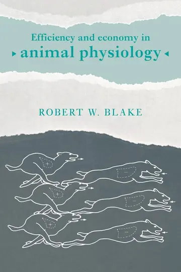 Cover of Efficiency and Economy in Animal Physiology