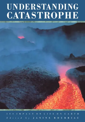 Cover of Understanding Catastrophe