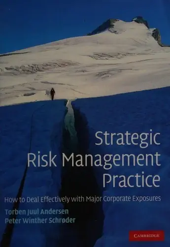 Cover of Strategic Risk Management Practice