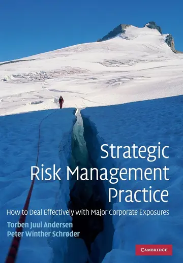Cover of Strategic Risk Management Practice