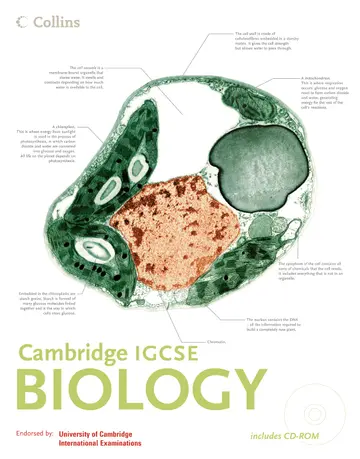 Cover of Cie
