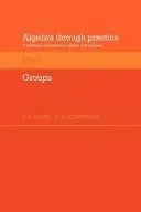 Cover of Algebra Through Practice