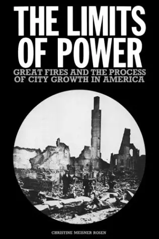 Cover of The Limits of Power