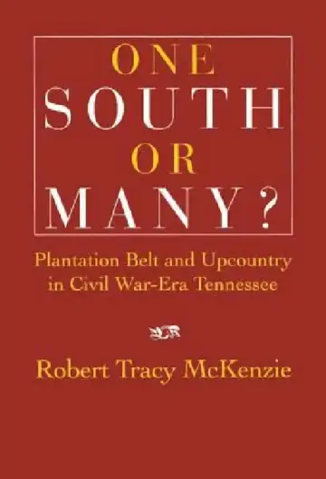 Cover of One South or Many?
