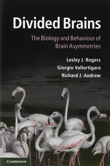 Cover of Divided Brains