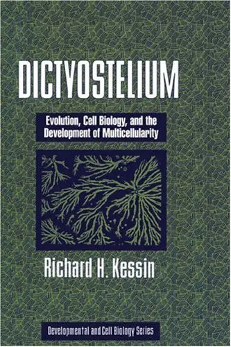 Cover of Dictyostelium