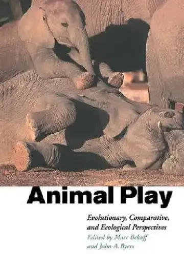 Cover of Animal Play