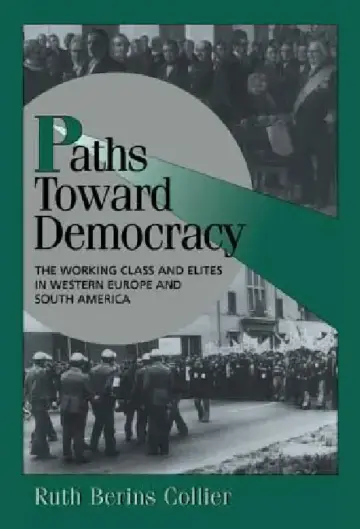Cover of Paths toward Democracy
