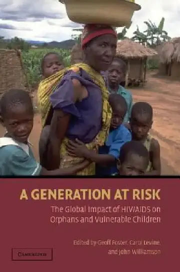 Cover of A Generation at Risk