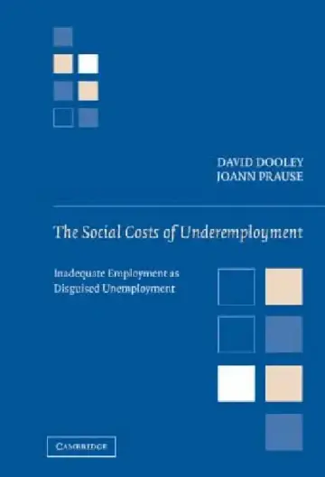 Cover of The Social Costs of Underemployment
