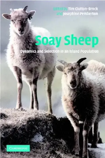 Cover of Soay Sheep