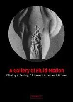 Cover of A Gallery of Fluid Motion