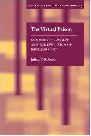 Cover of The Virtual Prison
