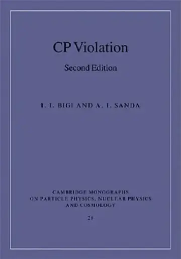 Cover of CP Violation