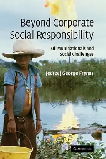 Cover of Beyond Corporate Social Responsibility