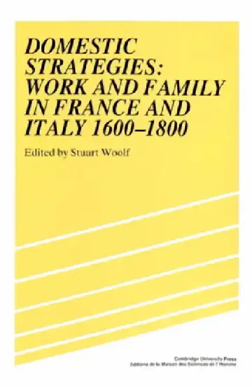 Cover of Domestic Strategies