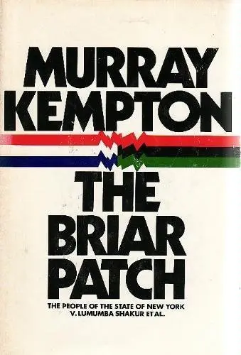 Cover of The Briar Patch