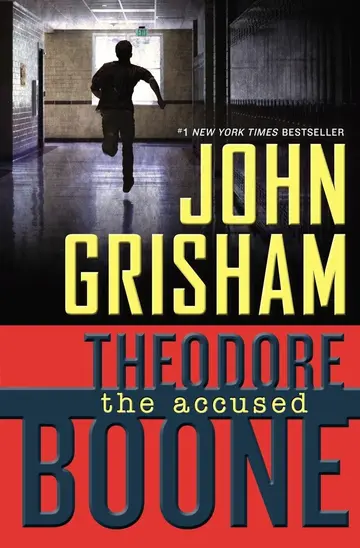 Cover of The Accused