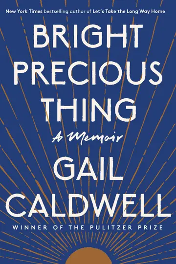 Cover of Bright Precious Thing