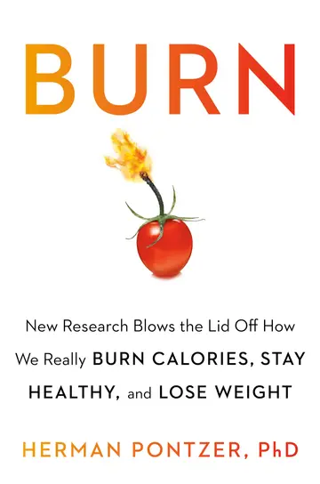 Cover of Burn