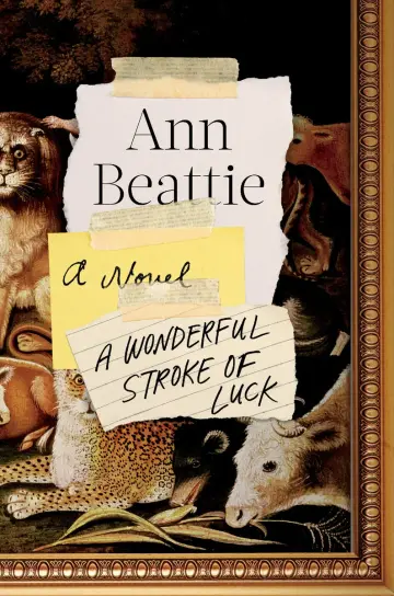 Cover of A Wonderful Stroke of Luck