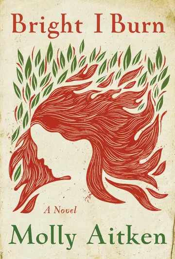 Cover of Bright I Burn