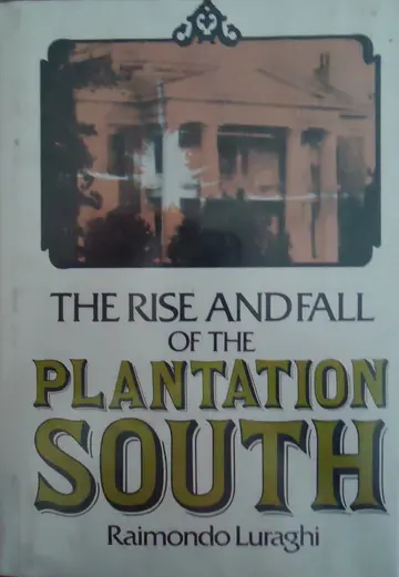 Cover of The rise and fall of the Plantation South