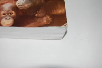 Cover of The Essence of Anthropology