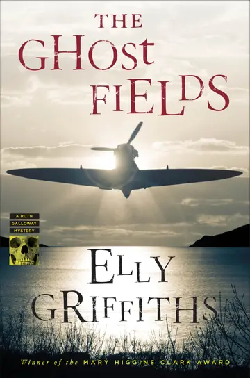 Cover of The Ghost Fields